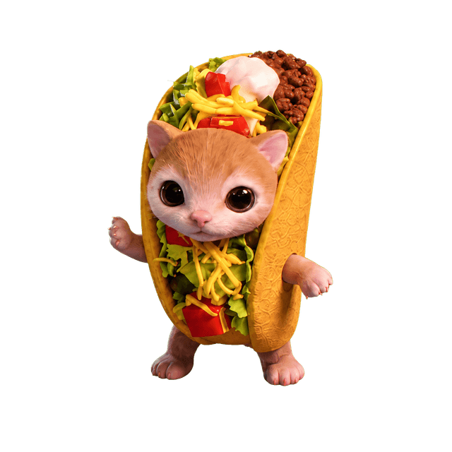 Taco Cat